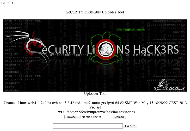 Secur!ty Lions
